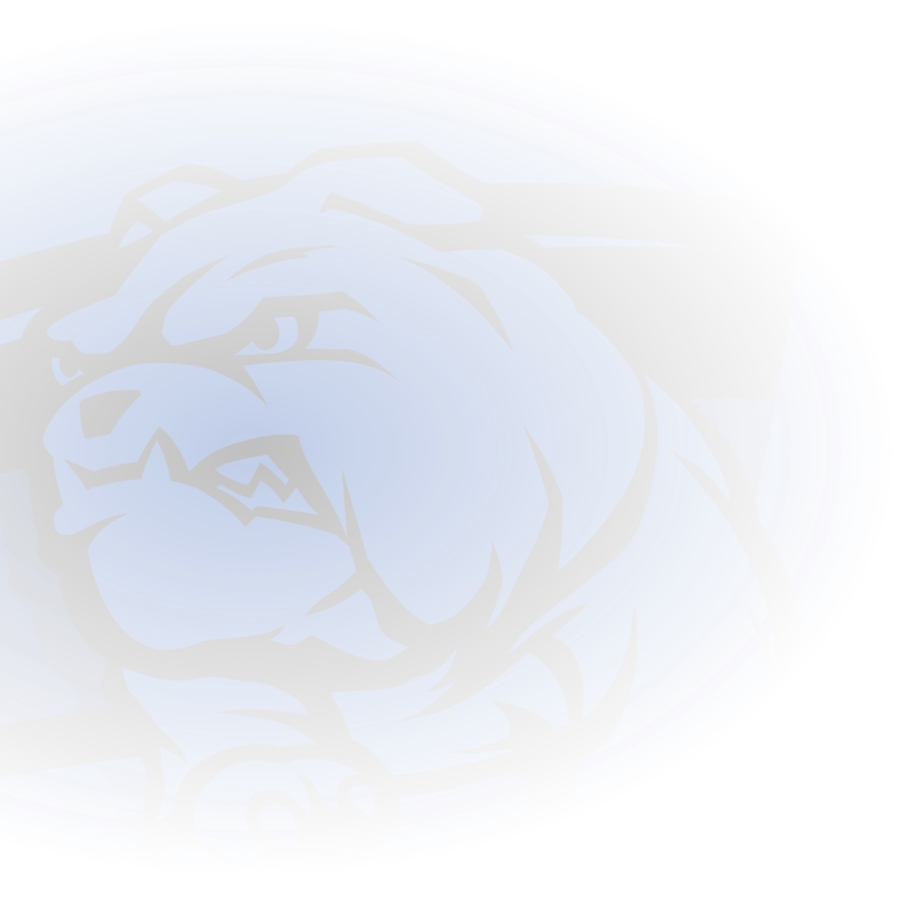 Official AFL Website of the Brisbane Lions Football Club