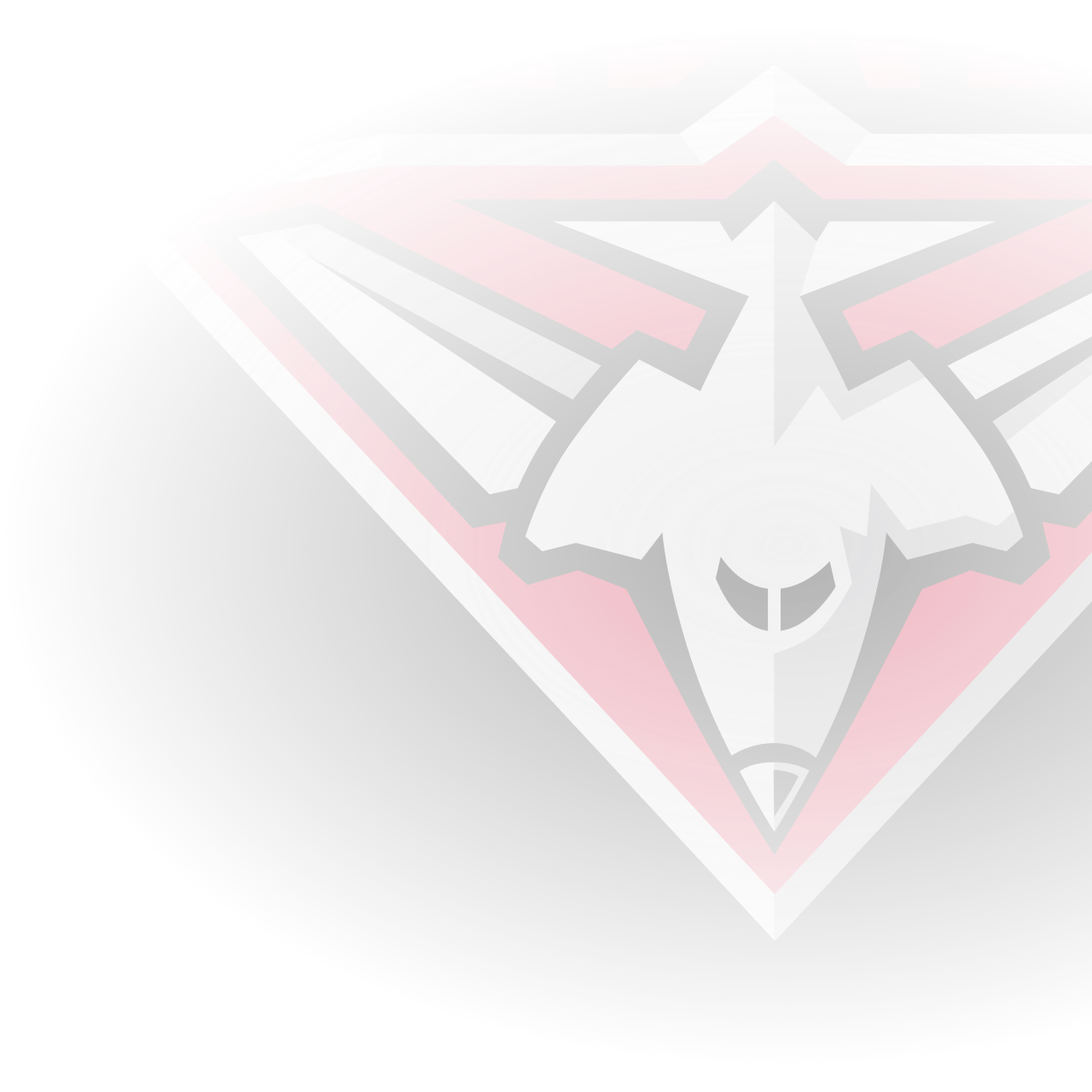 Official AFL Website of the Brisbane Lions Football Club