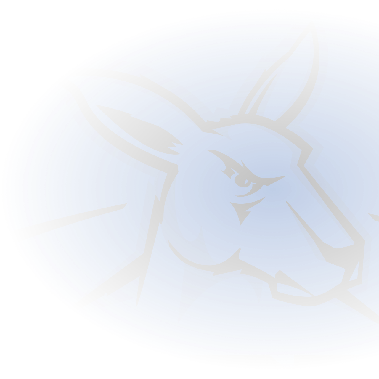 Official AFL Website of the Brisbane Lions Football Club